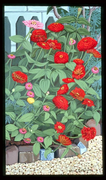 Zinnias